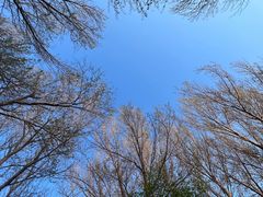 -长春公园(普阳街道)