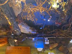 -八斗鸡·湘土菜(国贸店)