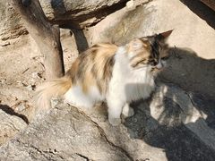 -天津盘山风景名胜区