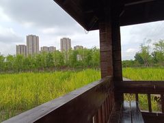 -永定河休闲森林公园