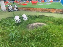 -南湖梦幻岛