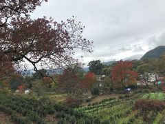 -塔川景区