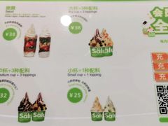 -Salud撒露欧洲冻酸奶(五道口购物中心店)