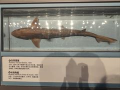 -舟山博物馆