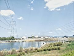-紫颐香薰山谷景区