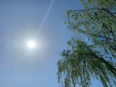 -大兴滨河森林公园