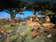 -国家自然博物馆