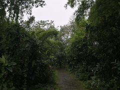 -三峡梯城