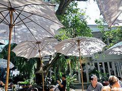-Fern Forest Cafe