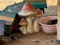 -三亚海棠湾万丽度假酒店