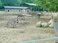 -西安秦岭野生动物园