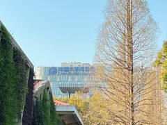 -中山公园