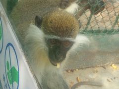 -泉州海丝野生动物世界