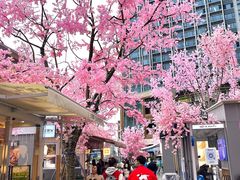 -首开·龙湖成都西宸天街
