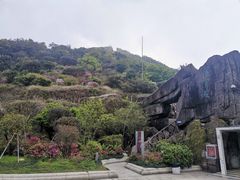 -梧桐山风景名胜区