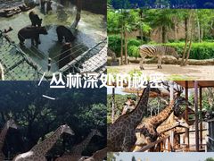 -深圳野生动物园