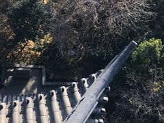 -常熟方塔园