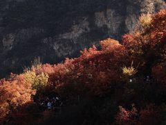 -周口店坡峰岭风景区