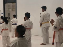 -极真空手道修远道场