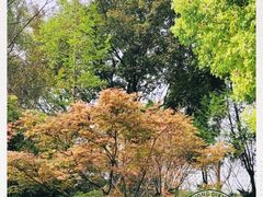 -重庆彩云湖湿地公园