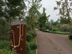 -白鹭湾湿地公园