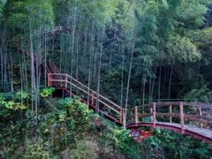 -宁波浙东大竹海景区