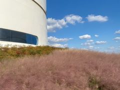 -栖露营camping·天幕烧烤·团建拓展·采摘营地
