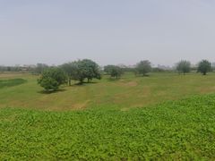 -盘龙城国家考古遗址公园