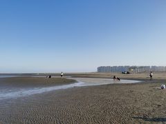 -启东黄金海滩景区