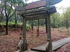 -大雁山风景区