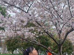 -堤角公园
