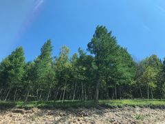 -塞罕坝国家级自然保护区