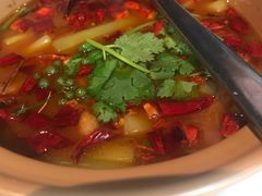 -皇朝会.经典传统粤菜(外滩店)