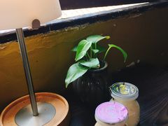 -狐狸家·酸奶酪专门店(平江路店)