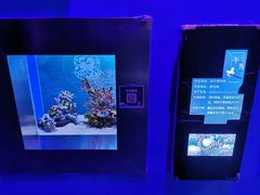 -上海海昌海洋公园