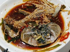 -煲来饱去冷水鱼
