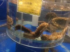 -新海渔港·胶东海鲜家常菜·家宴(奥体中心店)