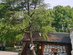 -嘉北郊野公园