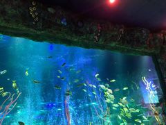 -沈阳海洋探索中心