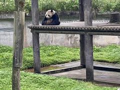 -碧峰峡风景区