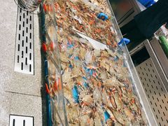 -半岛听涛蒸汽海鲜自助(K11店)