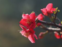 -陶然亭公园