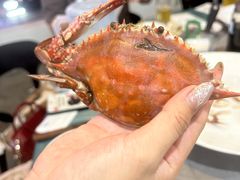 -大锅强·蒸海鲜青岛菜(吾悦广场店)