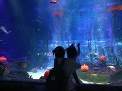 -沈阳海洋探索中心