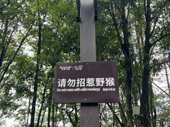 -麦当劳(西站店)