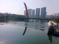 -白鹭湾湿地公园