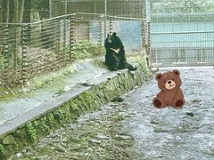 -乐和乐都主题乐园