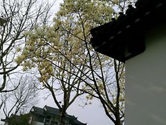 -东湖景区