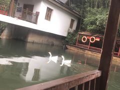 -周洛大峡谷