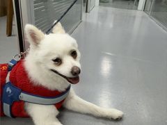 -心仪动物医院·牙专科·肿瘤·心脏科(西客站院)